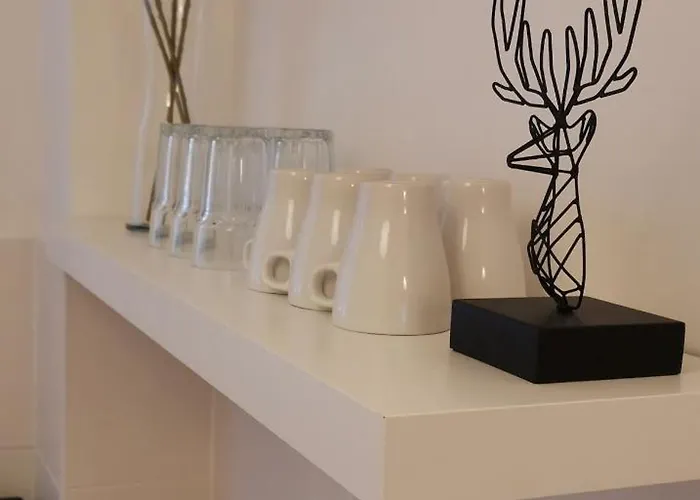 Wunderschönes Single Apartment